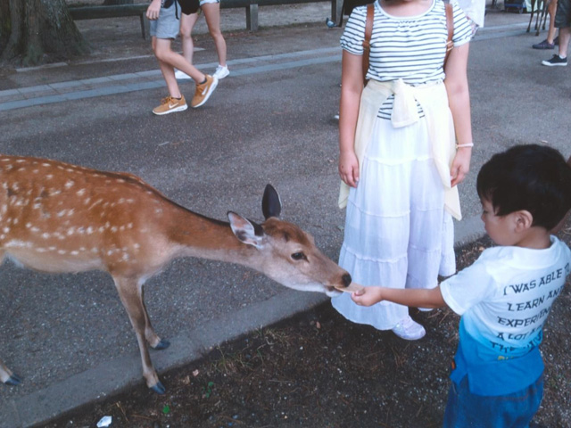 奈良公園で家族サービス